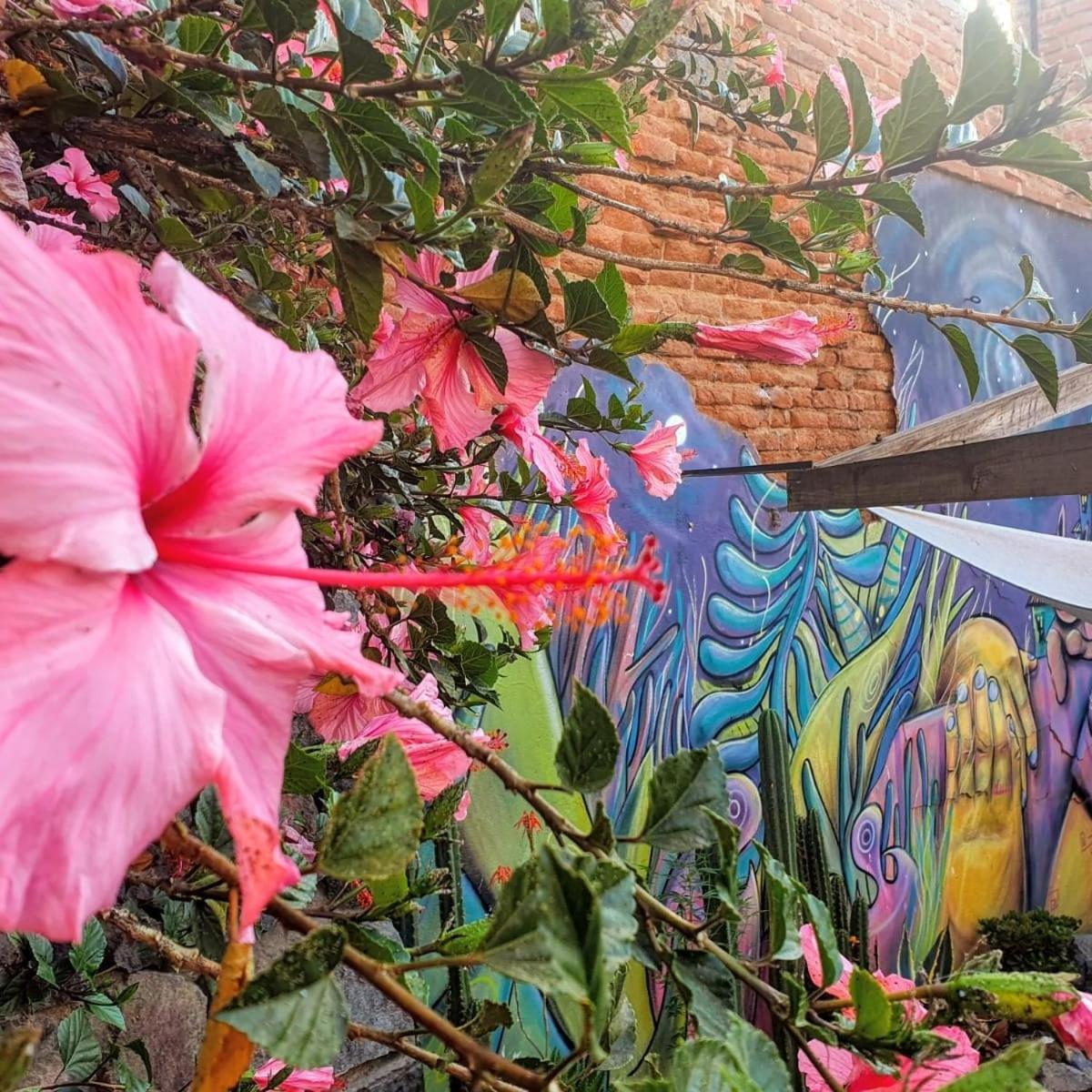 La Casa Piola Hostel Valparaíso Εξωτερικό φωτογραφία